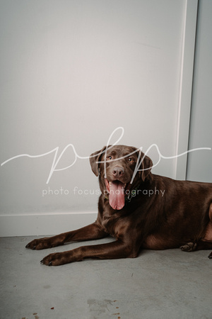Photo Focus Photography