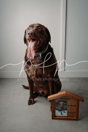Photo Focus Photography