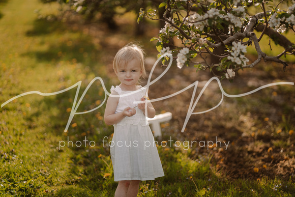 Photo Focus Photography