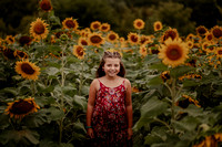 Emily Sunflower PROOFS