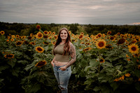 Krista Sunflower